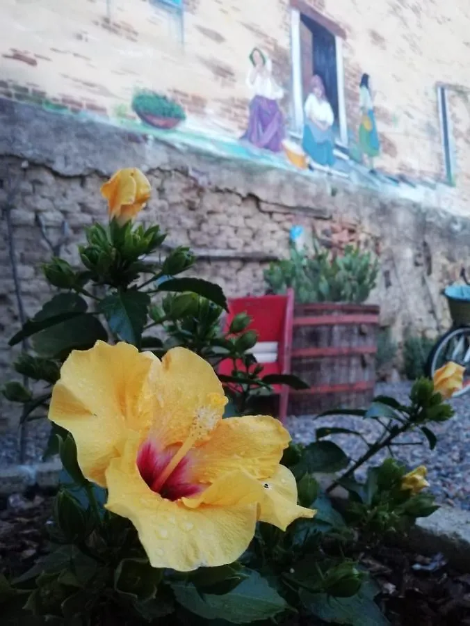 ムラヴェーラ Centu Concas Bed & Breakfast イタリア